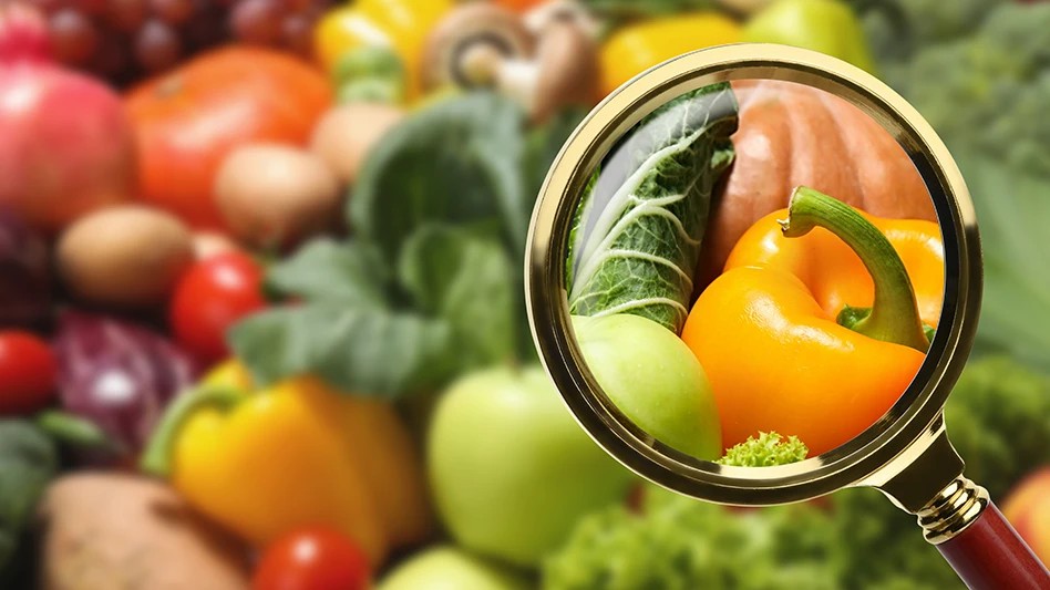 Elevate Your Food Business with HACCP Certification in London, Manchester, Birmingham & Beyond - Manual Handling Training Article