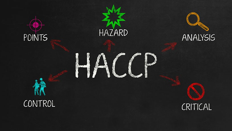 HACCP Training: Essential for Food Safety Compliance in London, Manchester, Birmingham, and Beyond - Manual Handling Training Article
