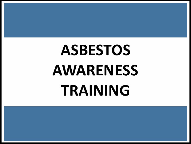 Empower Your Workforce: Essential Online Asbestos Awareness Training in the UK - Manual Handling Training Article